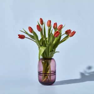 Bright Tulips