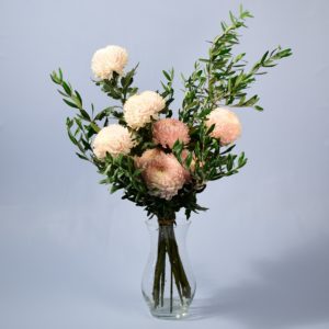 Pastel Pom-Poms