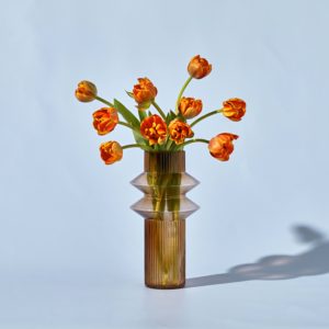 Bright Double Tulips