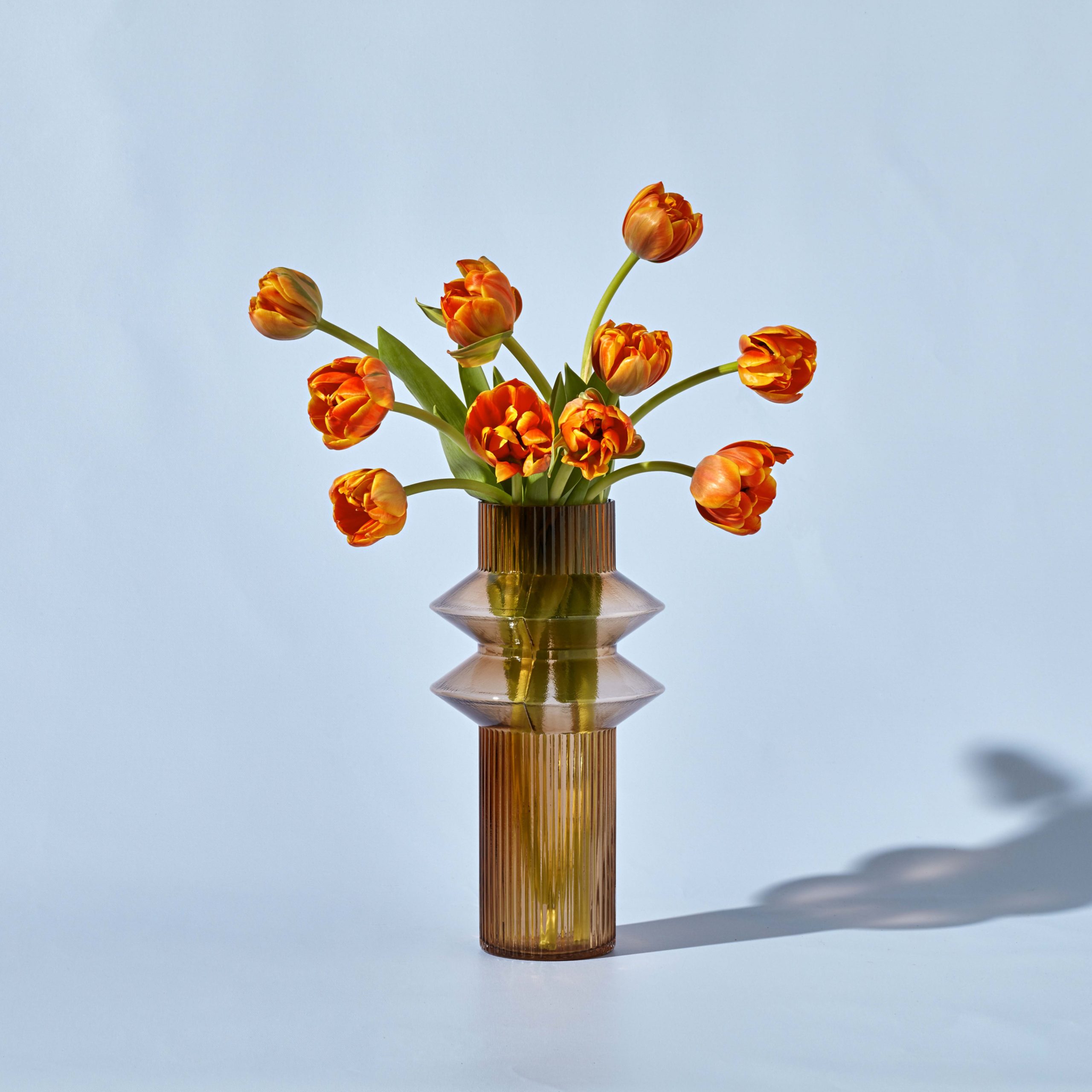 Bright Double Tulips