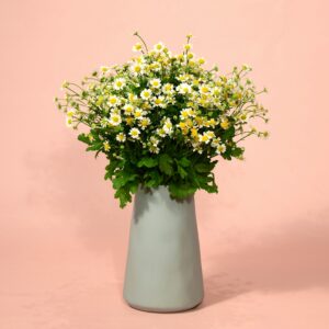 Chamomile